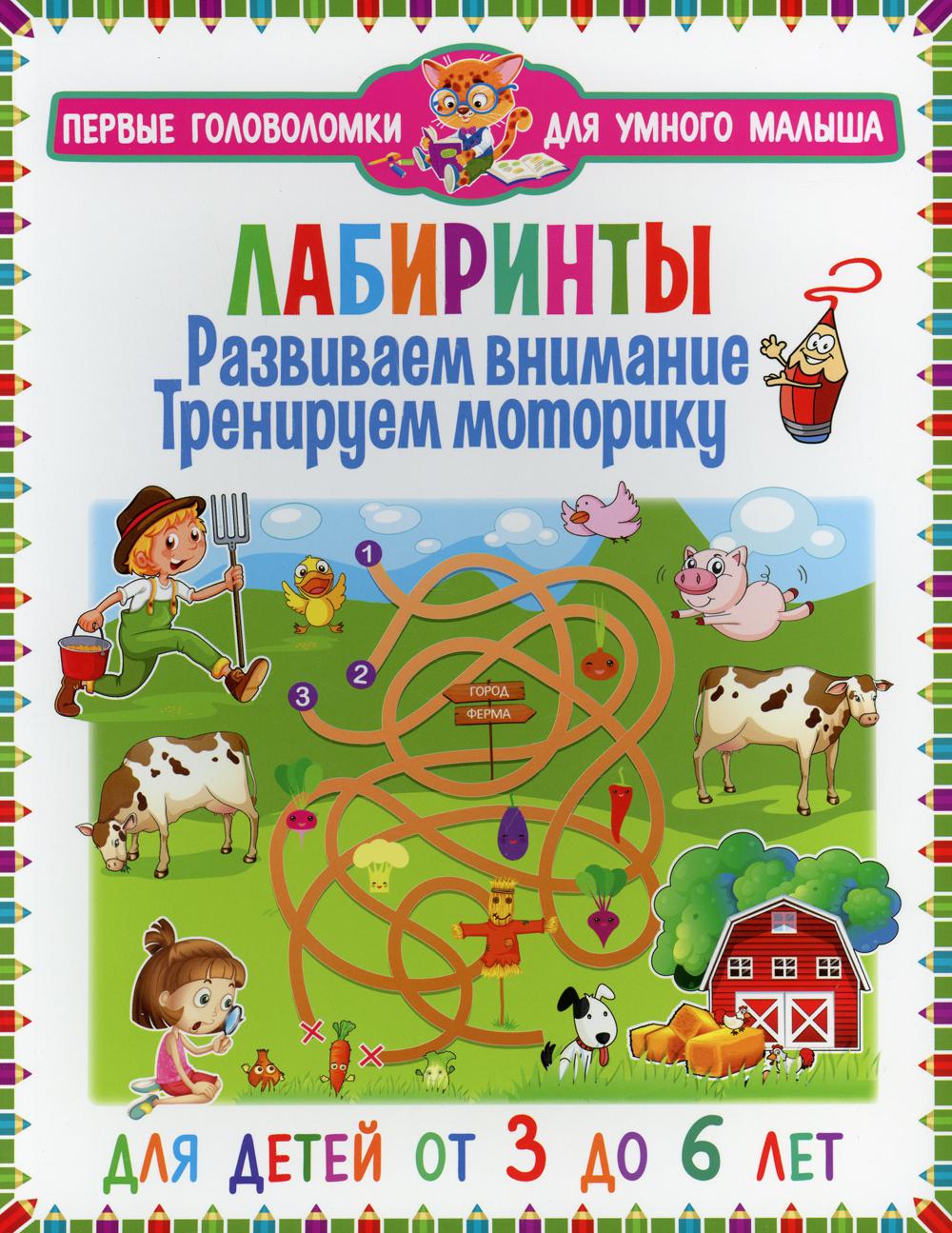 Лабиринты. Развиваем внимание, тренируем моторику. Для детей от 3 до 6 лет  - купить развивающие книги для детей в интернет-магазинах, цены на  Мегамаркет |