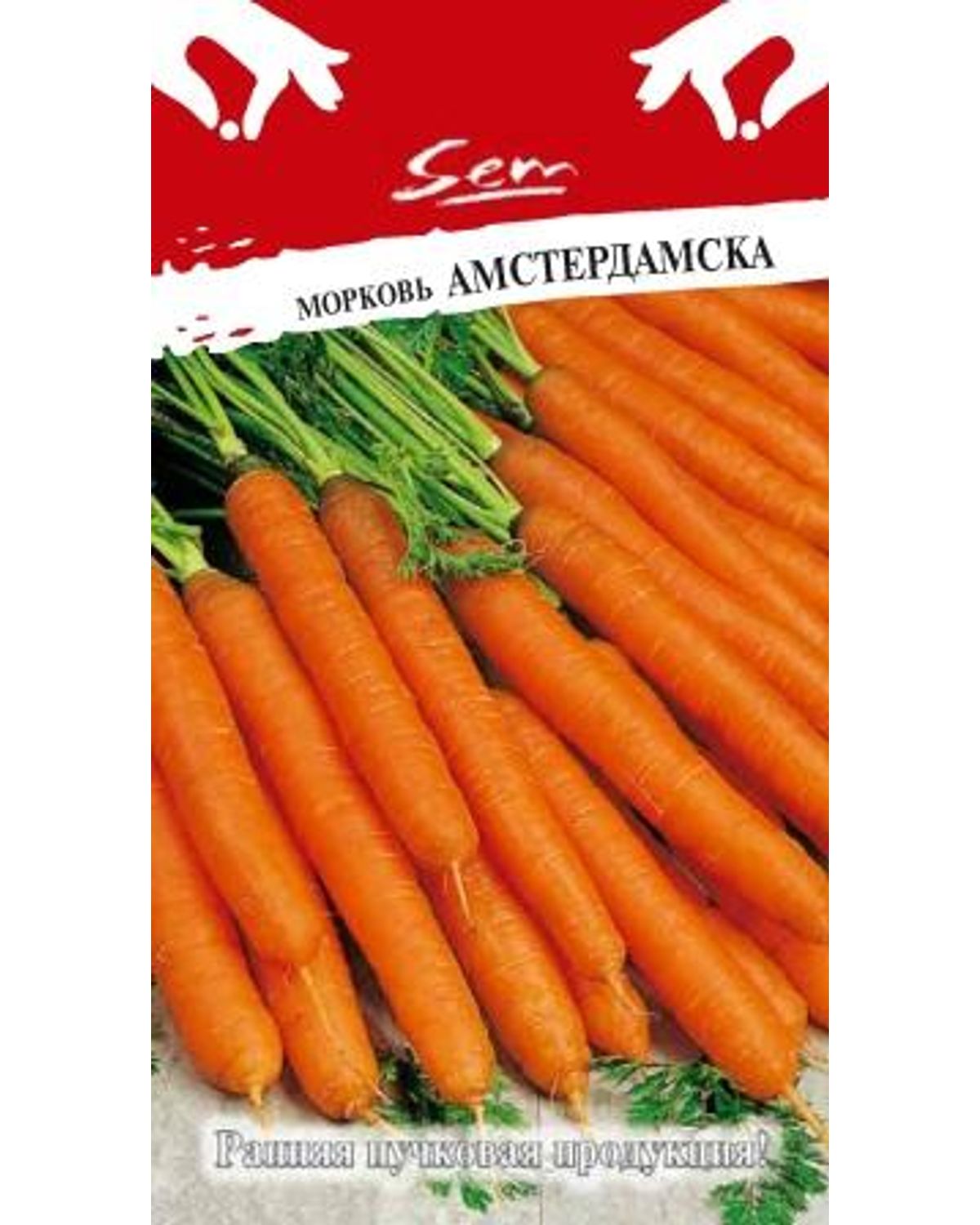 Семена морковь Русский огород Амстердамска 313026 1 уп. - отзывыпокупателей на Мегамаркет