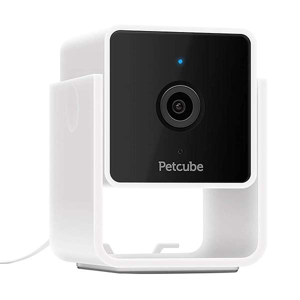 petcube camera