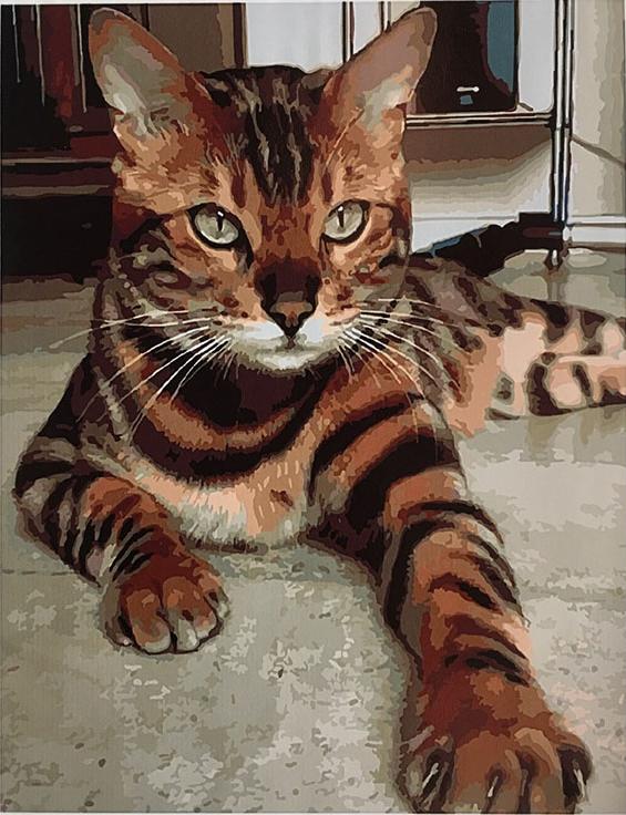 Купить картина по номерам Paintboy Original Бенгальский кот, 40x50 см, цены  на Мегамаркет | Артикул: 600000391248