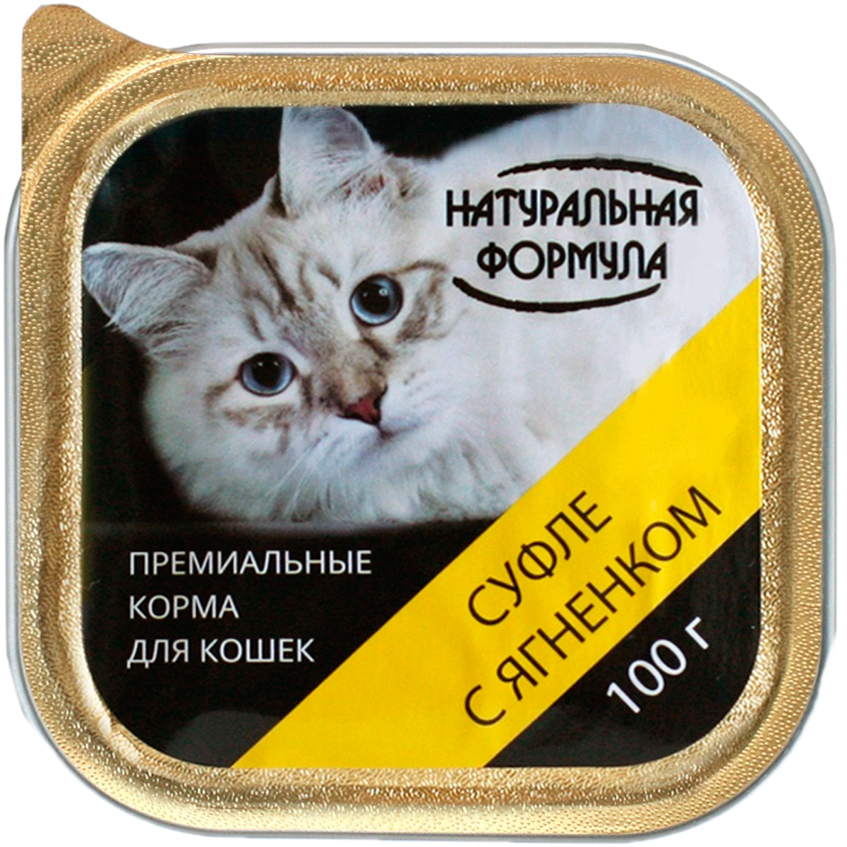 Ярко желтый стул у котенка