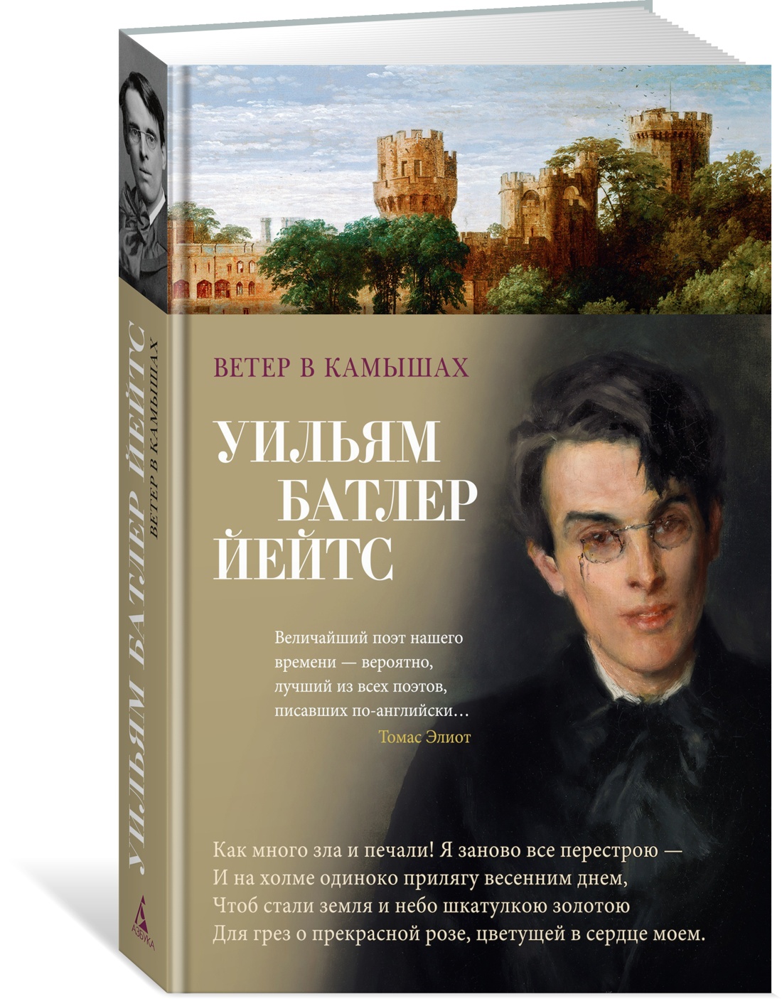 Ветер в камышах - купить классической поэзии в интернет-магазинах, цены на  Мегамаркет | 978-5-389-25236-3