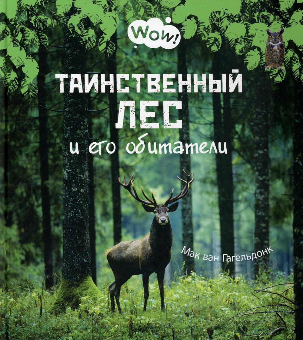 Таинственный лес и его обитатели - купить детской энциклопедии в  интернет-магазинах, цены на Мегамаркет |