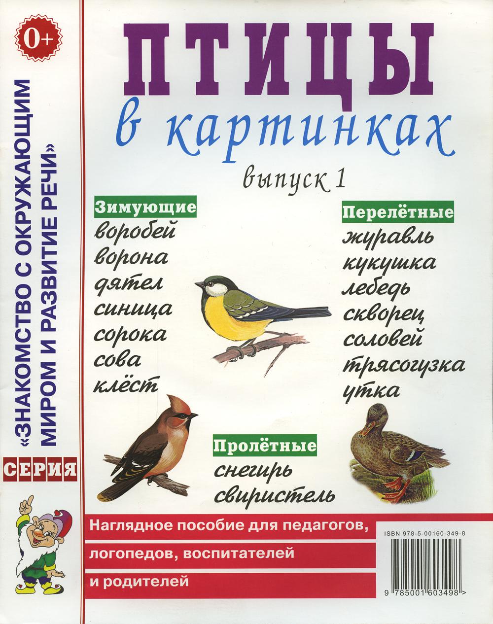 Птицы в картинках - купить дошкольного обучения в интернет-магазинах, цены  на Мегамаркет |