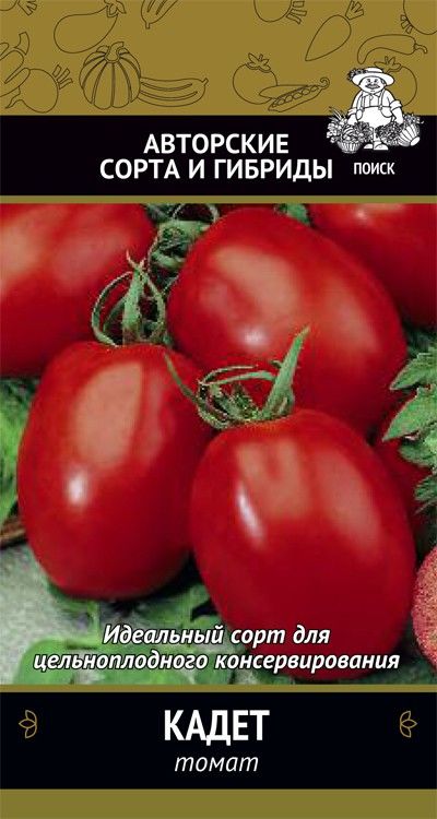 Семена томат Поиск Кадет 510396 1 уп. - отзывы покупателей на Мегамаркет