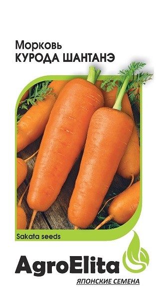 Как посадить морковь Курода Шантане?
