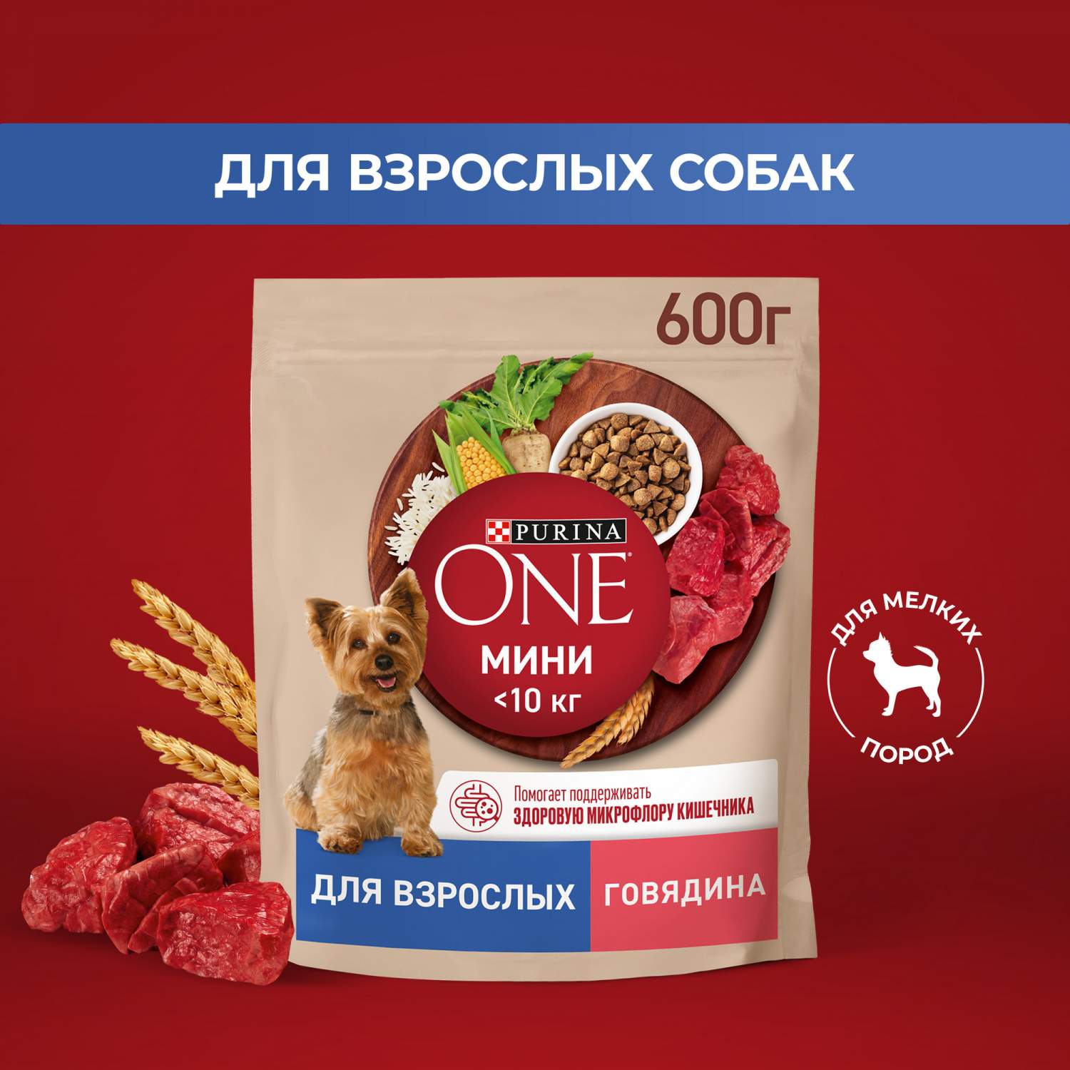 Сухой корм для собак Purina ONE Мини при активном образе жизни с говядиной  и рисом, 600 г - отзывы покупателей на маркетплейсе Мегамаркет | Артикул  товара:100013202572