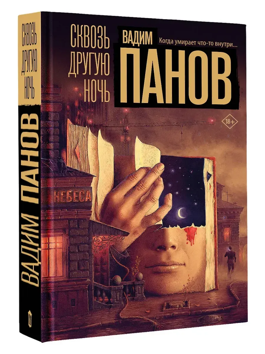 Сквозь другую ночь