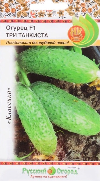Огурец Три танкиста описание сорта, отзывы, фото