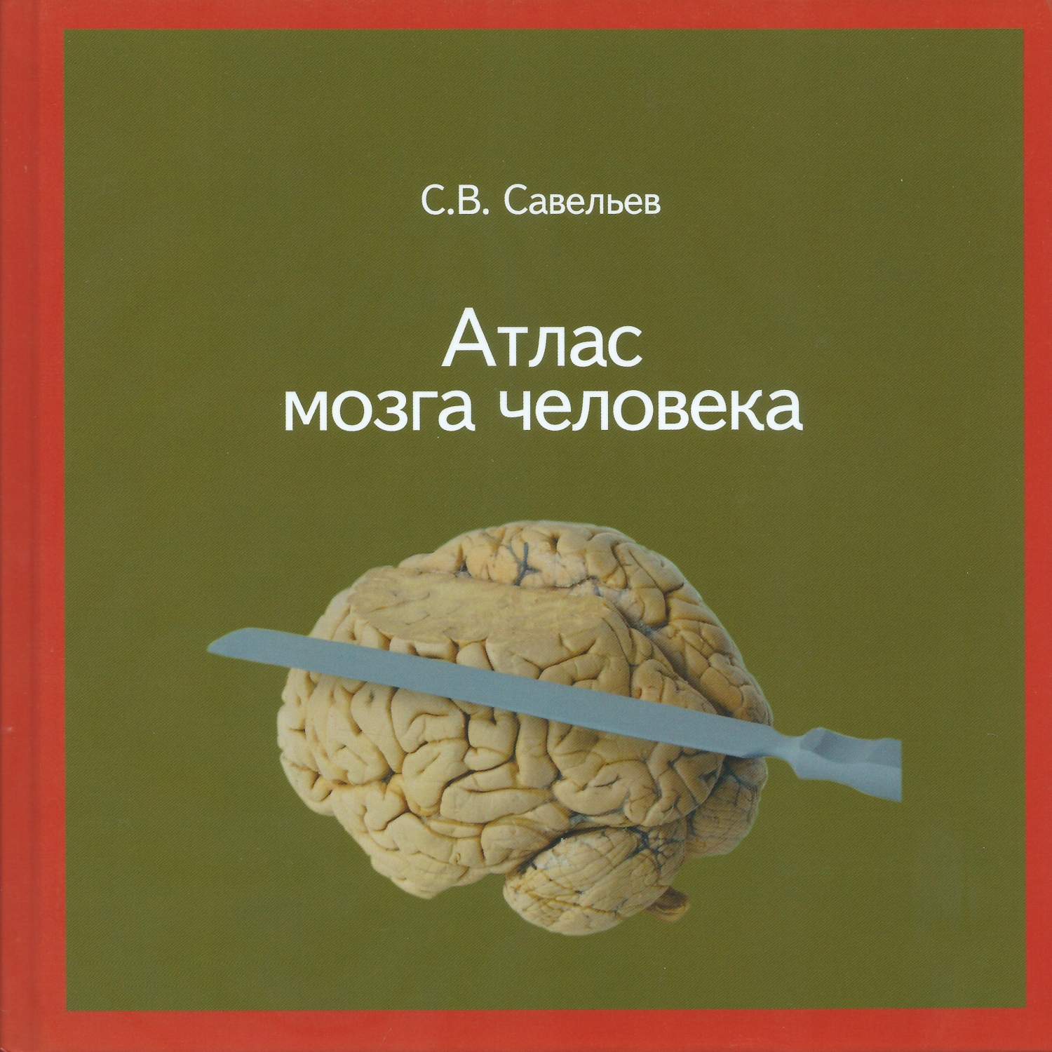 Атлас мозга человека. 2-е издание - купить здравоохранения, медицины в  интернет-магазинах, цены на Мегамаркет | 9785946240659