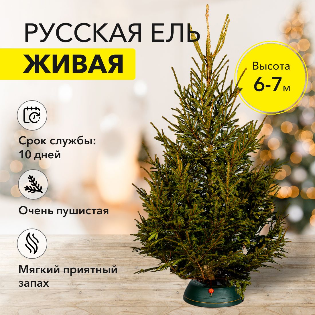 Ель ELKI SALE rus-600-700 650-675 см – купить в Москве, цены в  интернет-магазинах на Мегамаркет