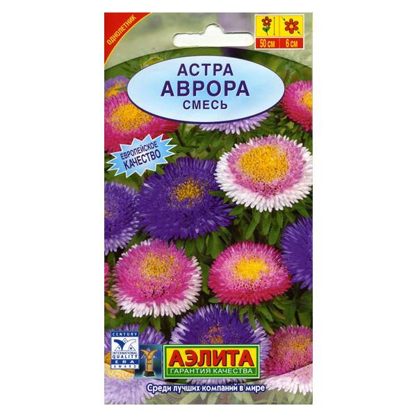 Астра Аврора (смесь окрасок): описание сорта, характеристики, особенности посадки и выращивания, отзывы