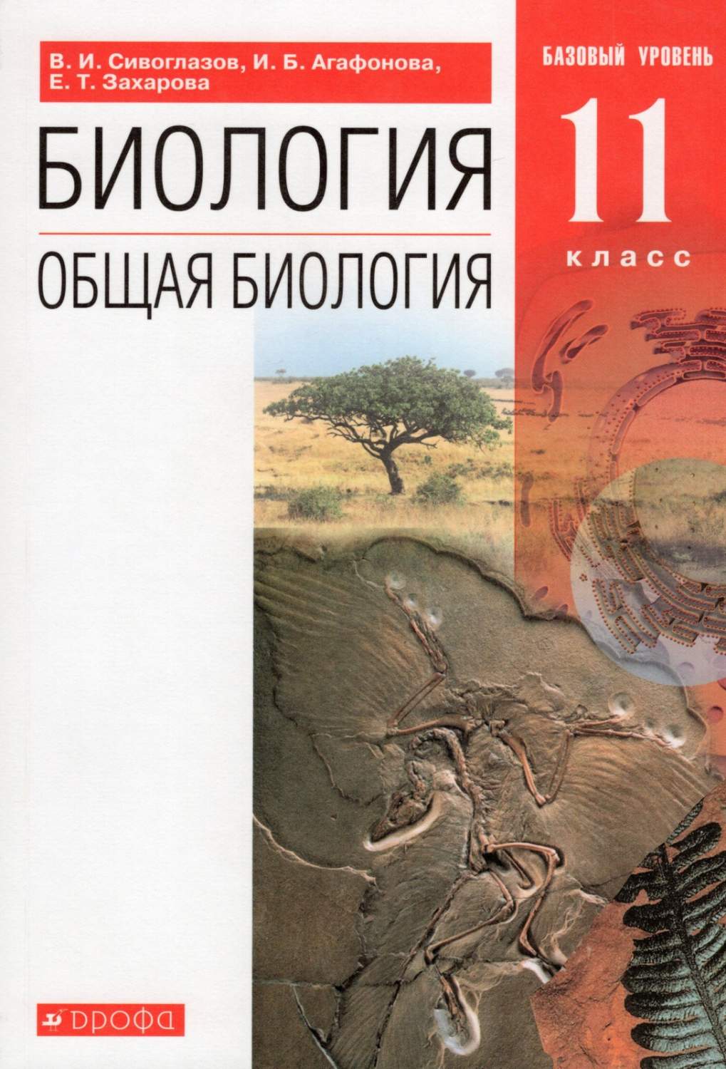 Учебник Общая биология 11 класс базовый уровень Сивоглазов В.И. Агафонова  И.Б 9-е издание - купить учебника 11 класс в интернет-магазинах, цены на  Мегамаркет |