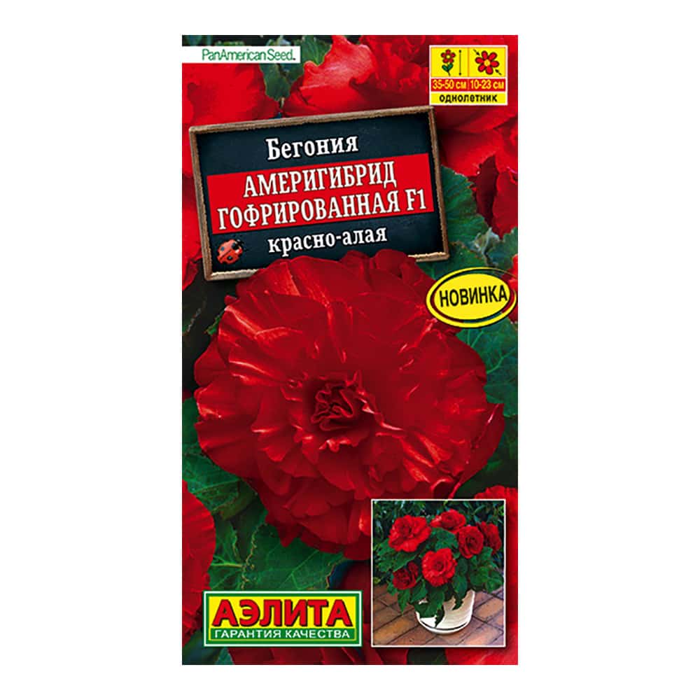 Семена бегония Аэлита Америгибрид гофрированная F1 12814 1 уп. - купить в Москве, цены на Мегамаркет