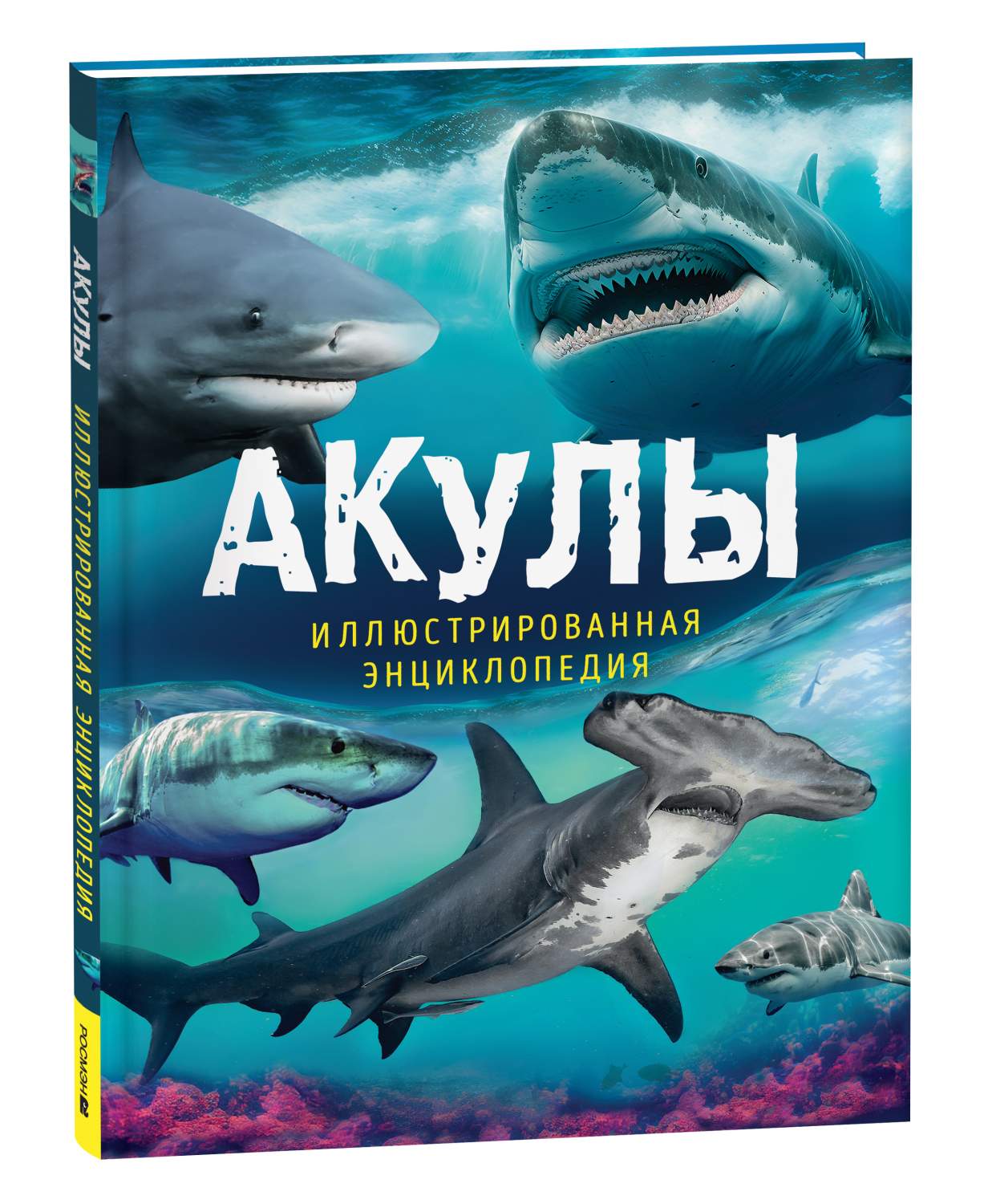 Акулы. Иллюстрированная энциклопедия - купить детской энциклопедии в  интернет-магазинах, цены на Мегамаркет | 9785353106333