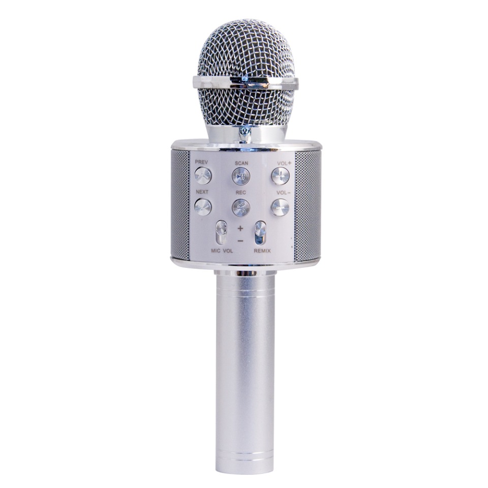 Микрофон-колонка Belsis Magic Acoustic Superstar Silver (MA3001SR) – купить  в Москве, цены в интернет-магазинах на Мегамаркет