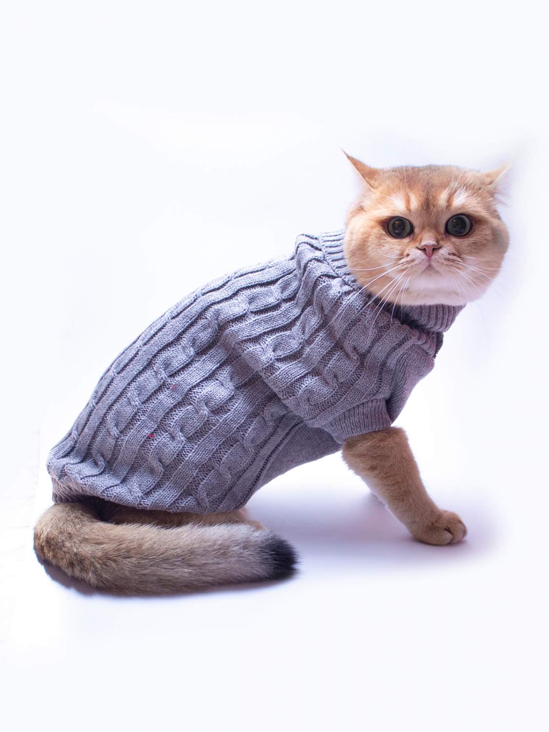 Купить свитер для кошек ГолдиК, 31см х 30см серый, цены на Мегамаркет |  Артикул: 600005515164
