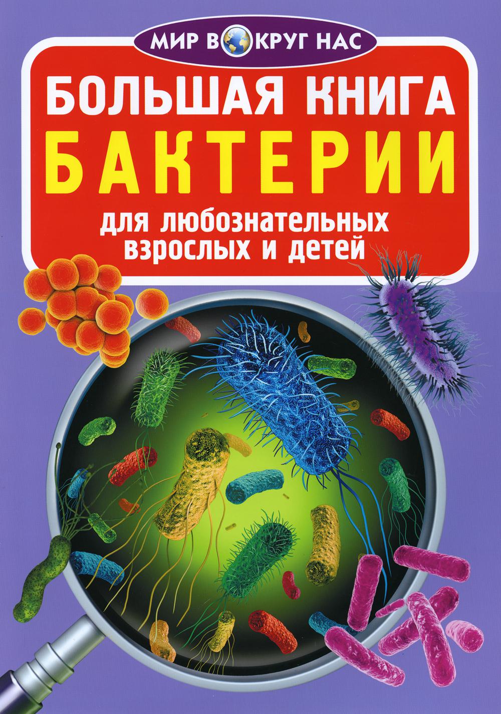 Большая книга. Бактерии – купить в Москве, цены в интернет-магазинах на  Мегамаркет