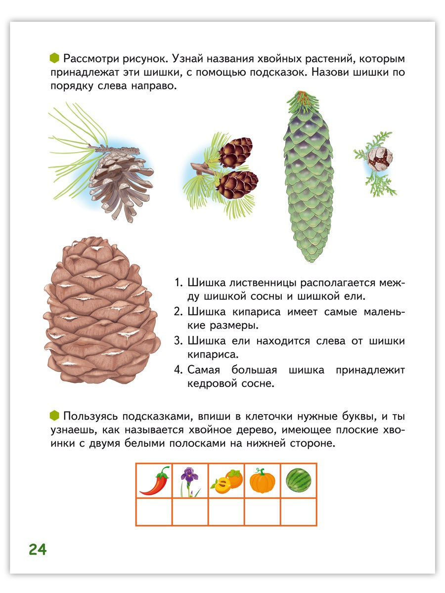 Новикова С. Н. Знакомлюсь с растениями. Развивающая тетрадь 6-7 лет.  Мозаичный Парк - купить развивающие книги для детей в интернет-магазинах,  цены на Мегамаркет | 44269