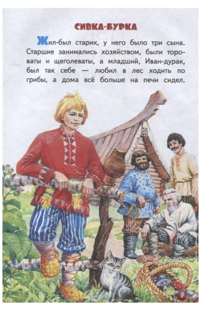 Как звали брата иванушки. Сивка бурка братья и Иванушка. Описание Сивки бурки. Сивка-бурка книга.