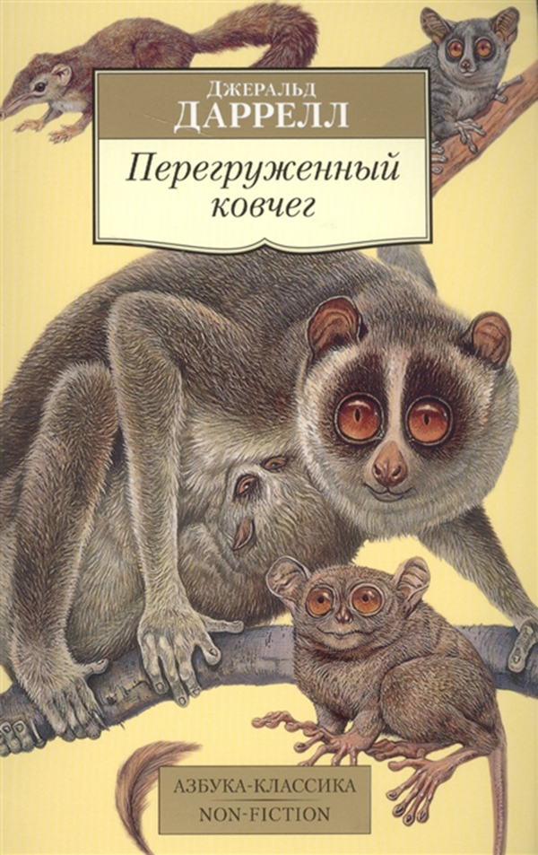 Гончие бафута картинки