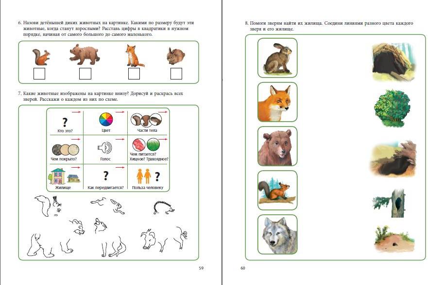 Развитие окружающий мир. Окружающий мир для дошкольников. Окружающий для дошкольников. Задания мир природы для дошкольников. Окружающий мир для дошкольников 6-7 лет.