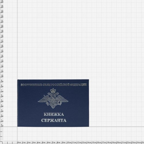 Сержантская книжка