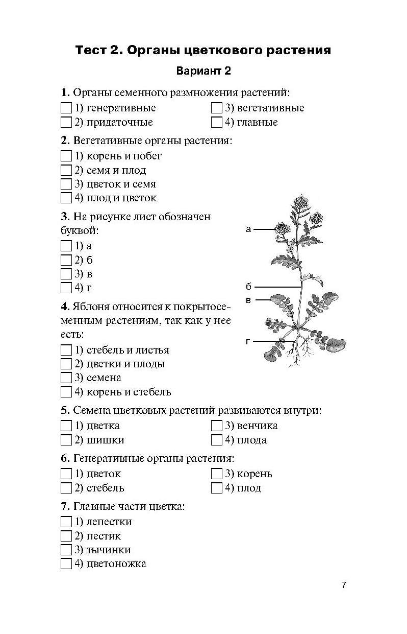 Тест классы цветковых растений 6 класс биология. Органы растений 6 класс биология контрольная работа с ответами. Биология 6 класс тесты. Органы растения тест. Проверочная по биологии 6 класс органы растений.
