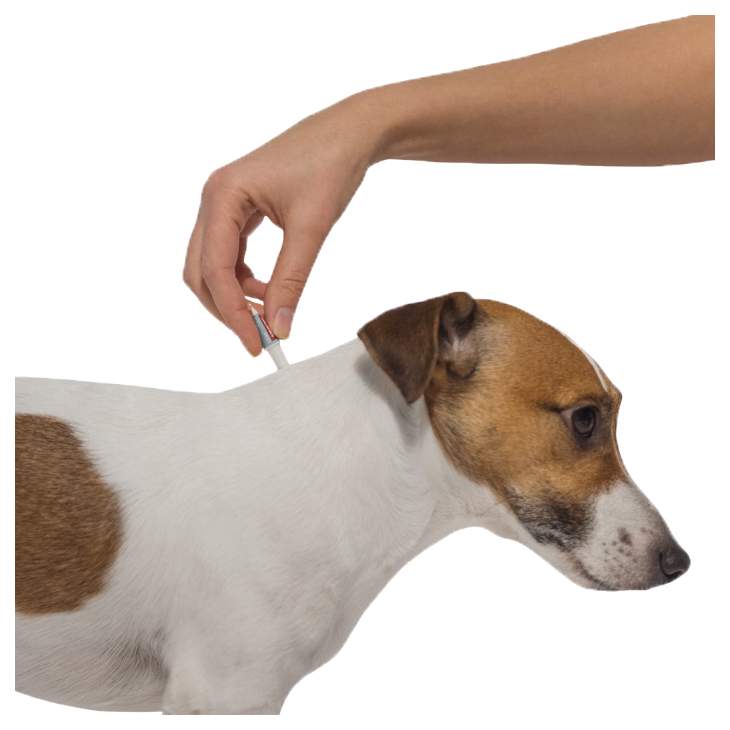 Капли для собак против паразитов Bayer Адвантикс 100С, 4-10 кг, 1 пипетка, 1 мл