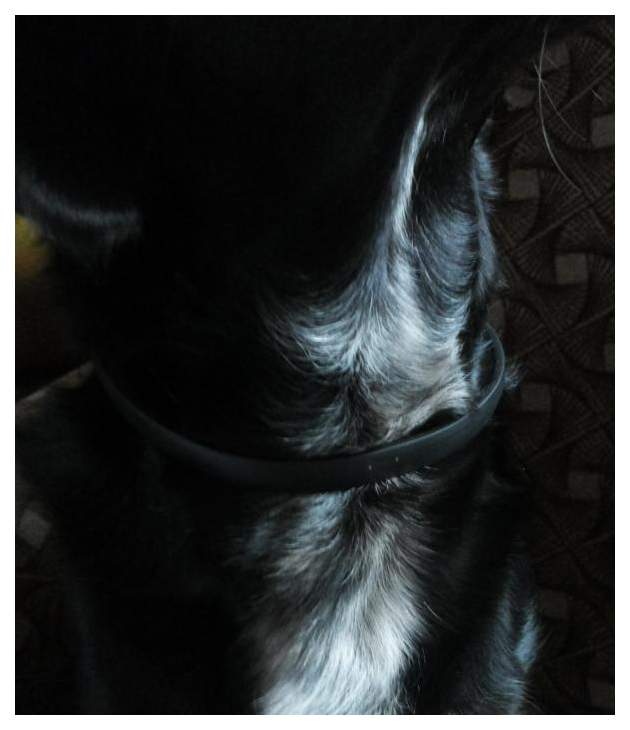 Ошейник для собак против блох, клещей Beaphar Ungezieferband черный, 85 см