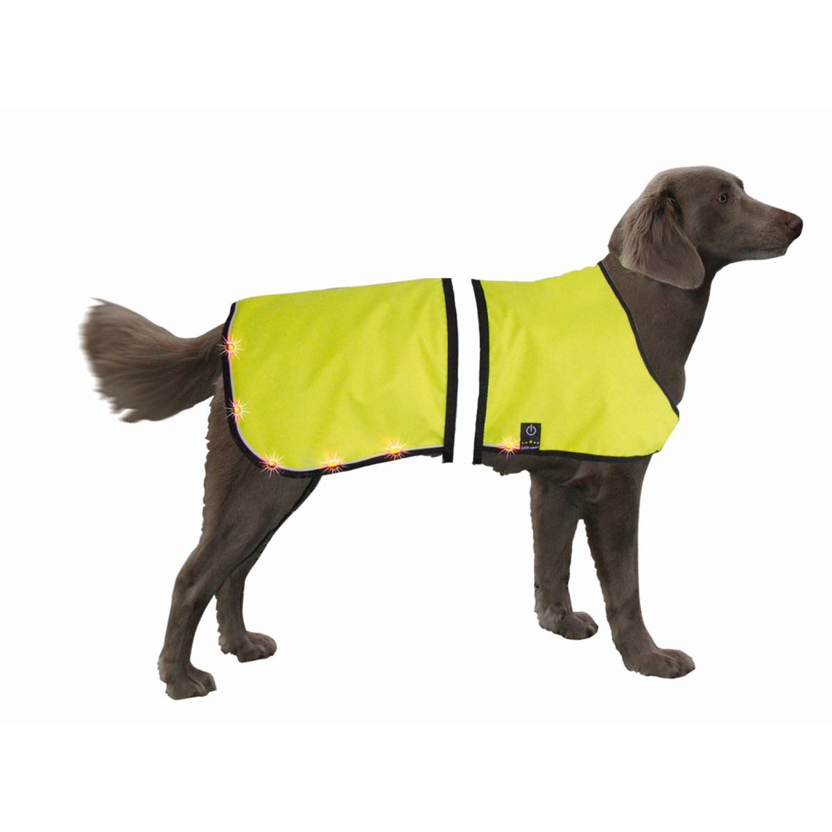 Попона для собак Vest Security LED USB светодиодная, желтая, S, шея 30-40см, грудь 40-55см