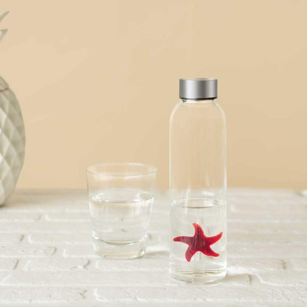 Бутылка для воды Starfish 0.5л, Balvi