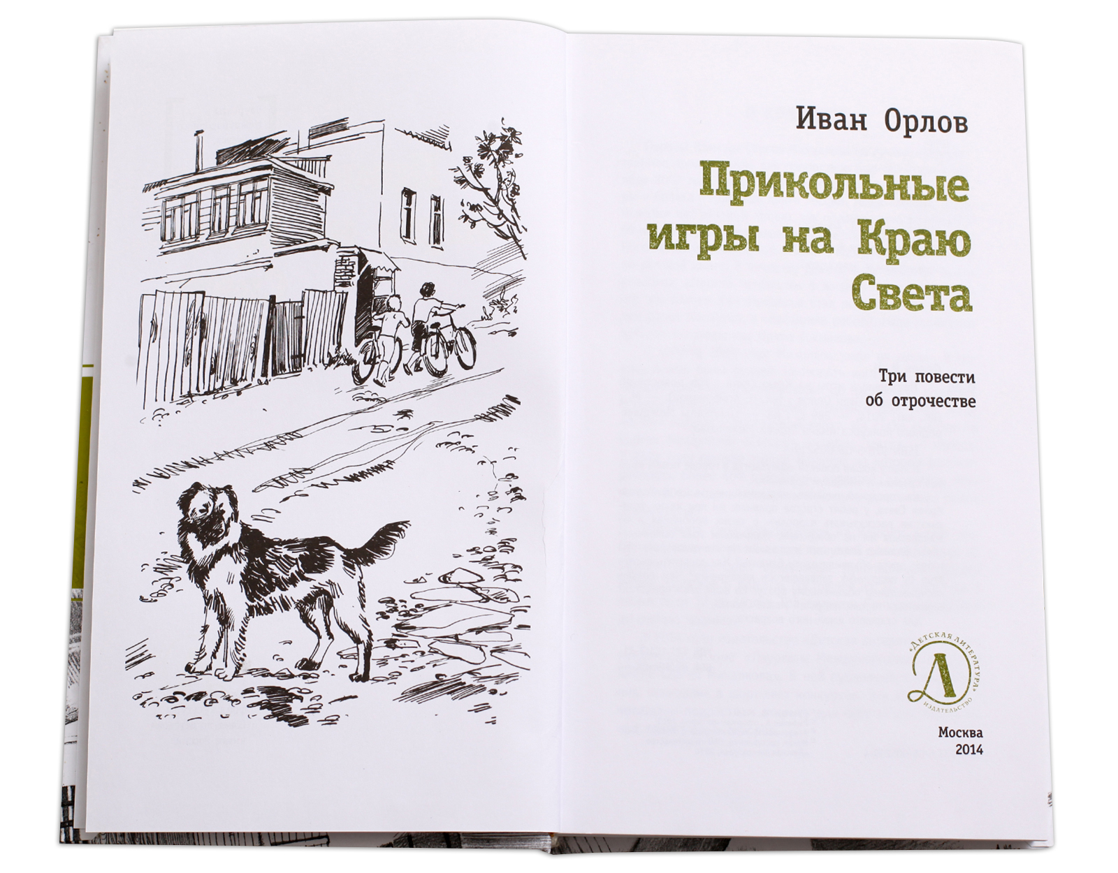 Прикольные игры на Краю Света - купить детской художественной литературы в  интернет-магазинах, цены в Москве на sbermegamarket.ru |