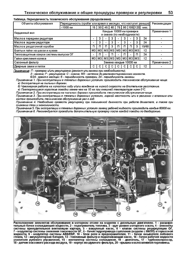 Схема топливной системы дизельного двигателя саньенг актион