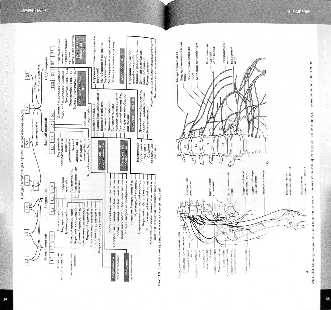 Схема терапия книги. Книга локальное лечение боли.
