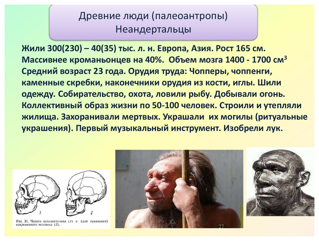Человек неандерталец объем мозга. Древние люди объем мозга. Древние люди Палеоантропы. Объем мозга древнейших людей. Мозг древнего человека и современного