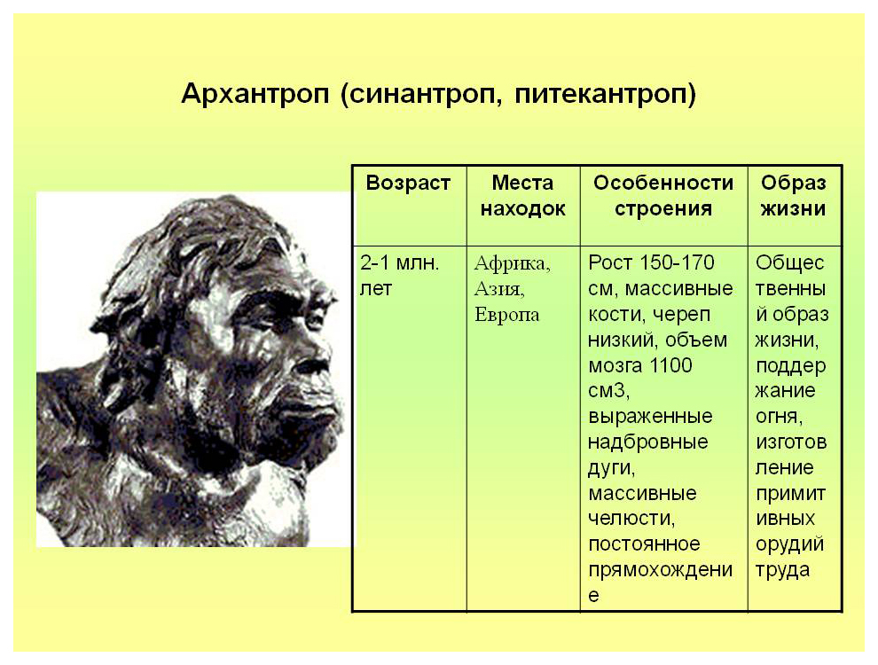 Используя рисунки 212 и 213 отметьте особенности строения и образа жизни