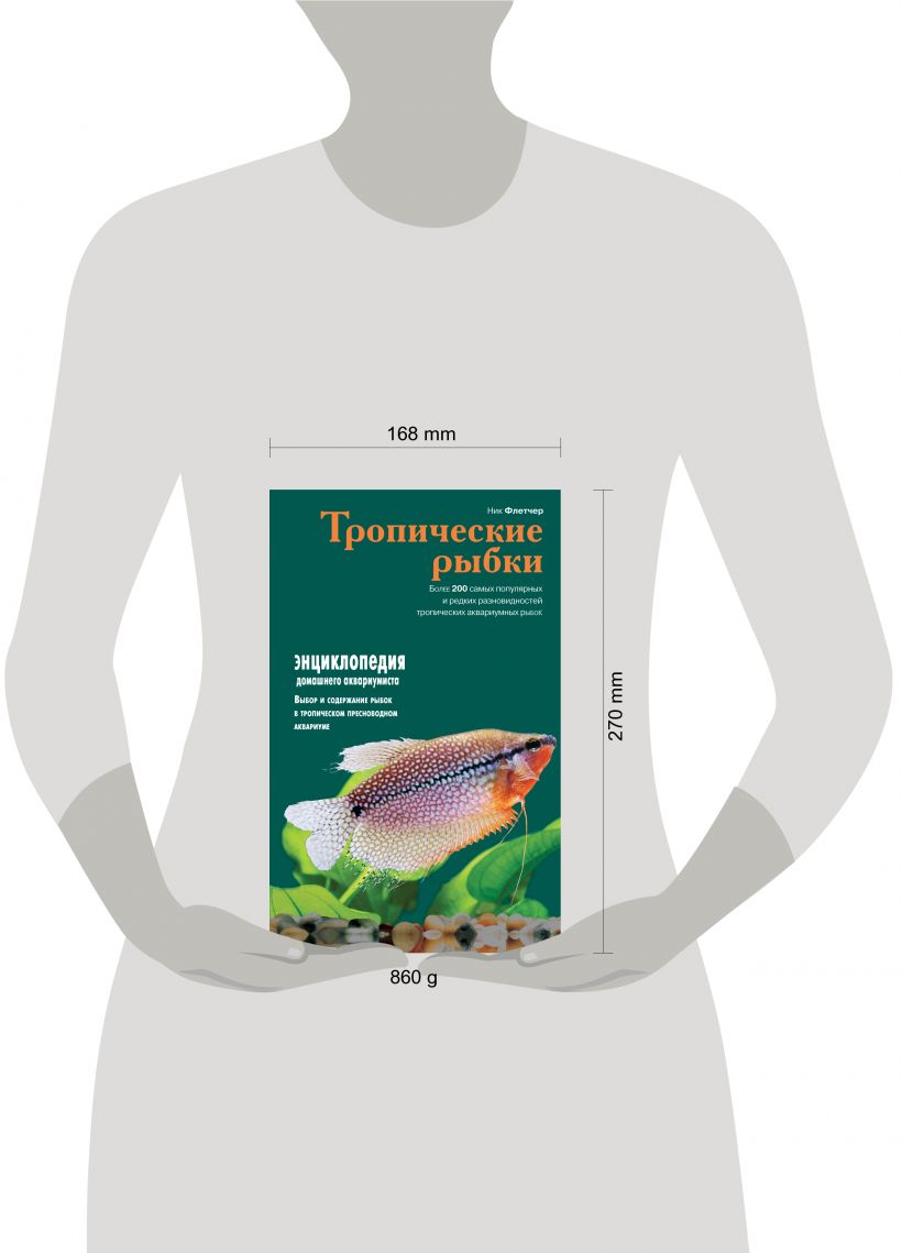 Тропические рыбы: фото, описание и характеристики