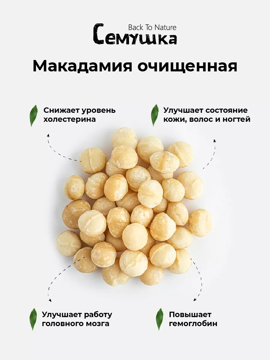 Макадамия размеры