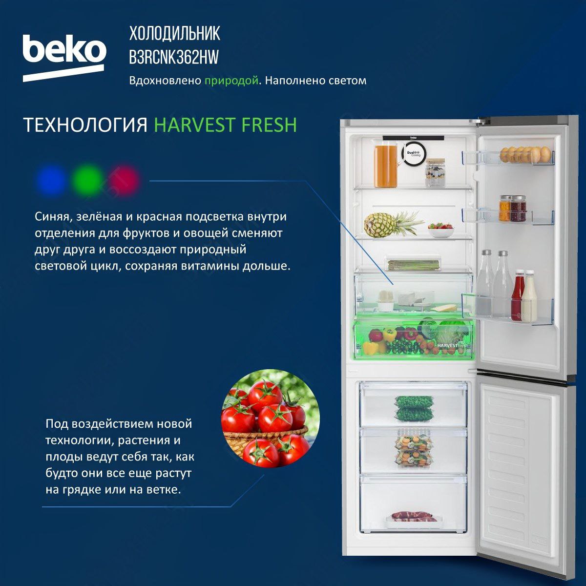 Beko b3rcnk362hs