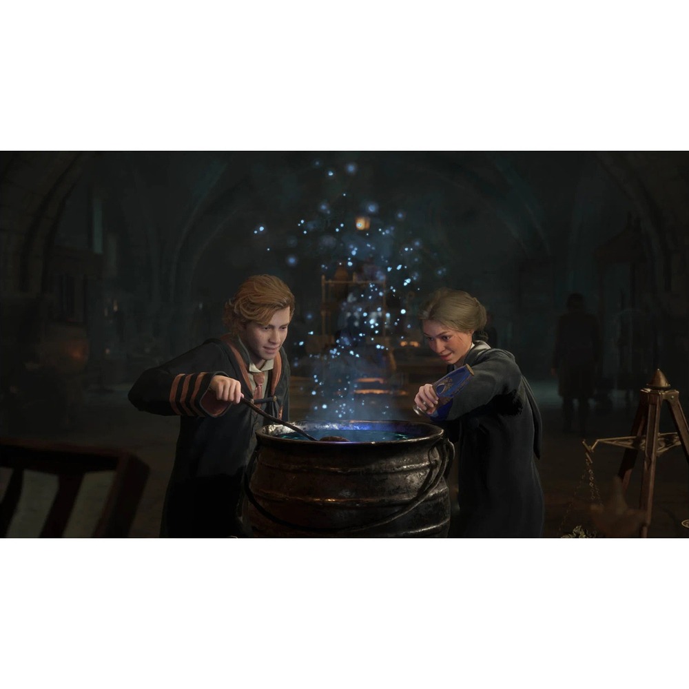 Hogwarts legacy ps4 отзывы фото 36