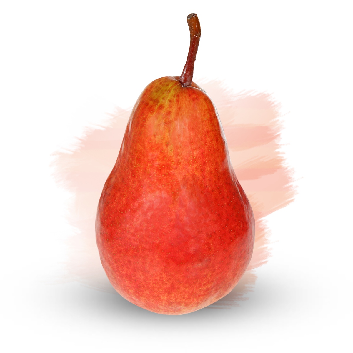 Груша ред бартлет. Груша ред батлер. Груша блютберне. Груша макс ред бартлет. Груша ред вильямс.