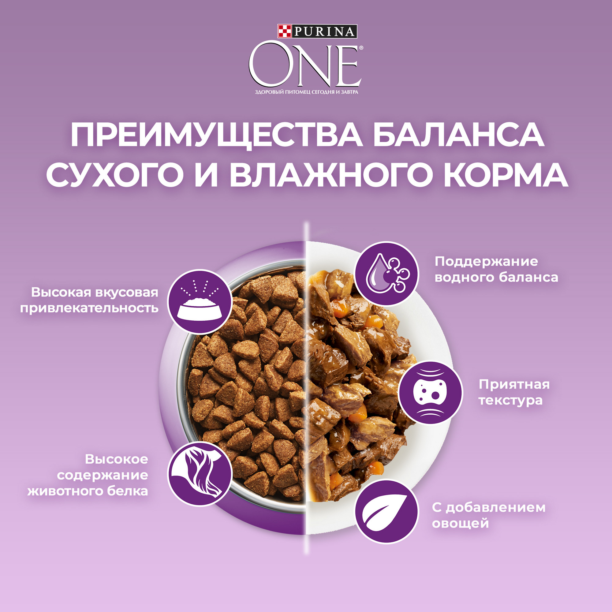 Купить влажный корм для кошек Purina ONE привередливых индейка и утка с  морковью 26 шт по 75г, цены на Мегамаркет | Артикул: 100058618356