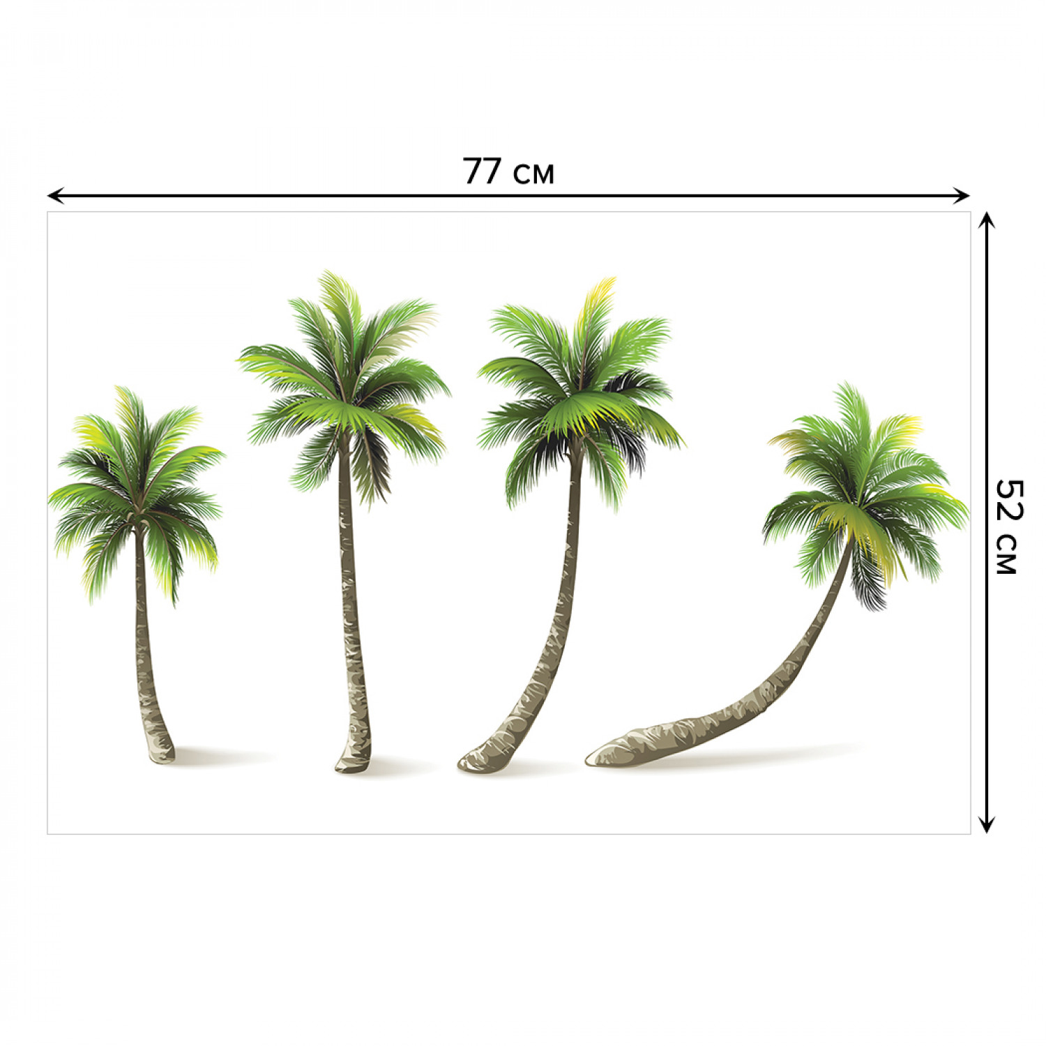 Palma 4 отзывы. Чилийская Пальма 4 буквы. Две пальмы 4 строфы. Пальма с 4 юношами. Зачем у пальмы четыре шеста.