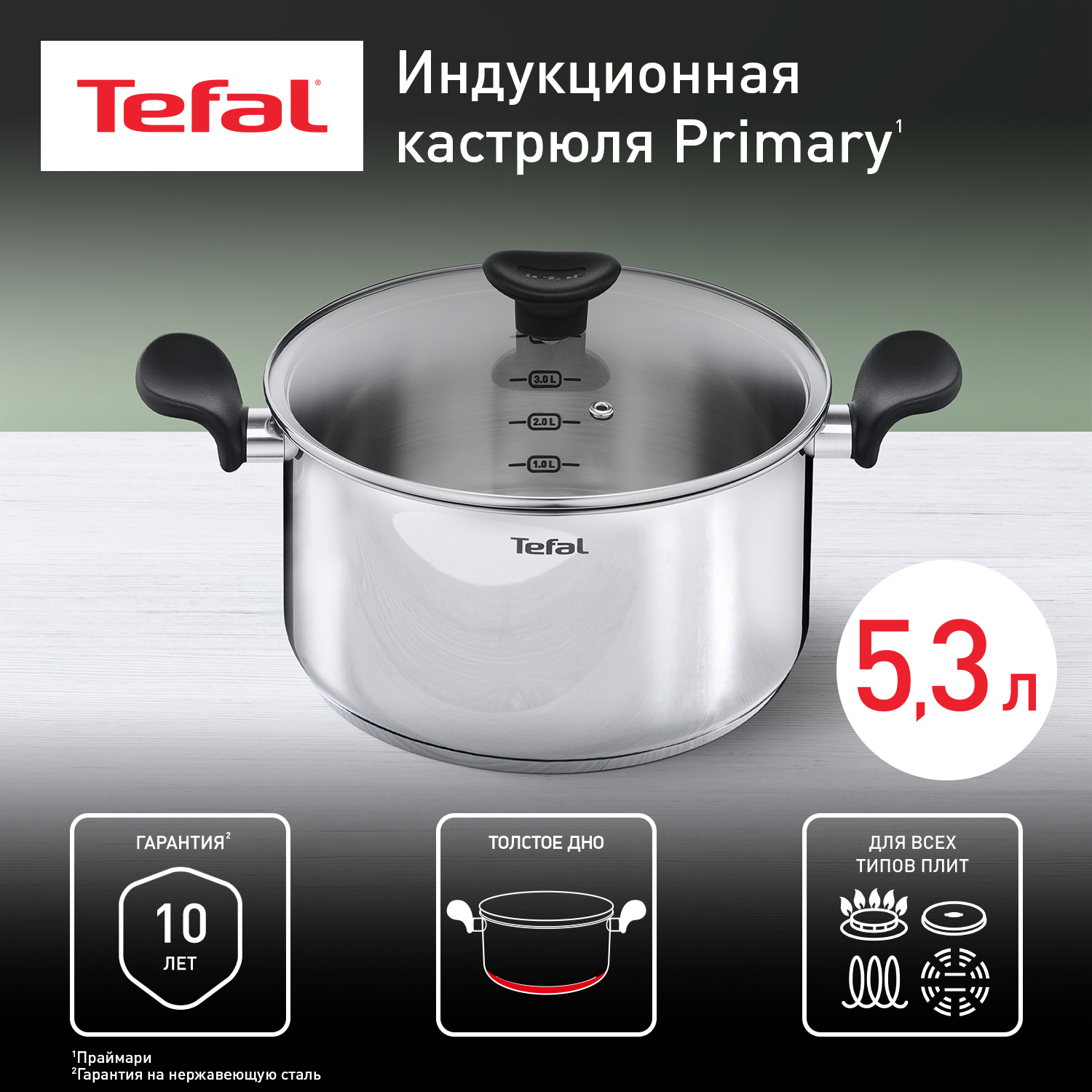 Кастрюля Tefal E3084674 5,2 л серебристый купить в интернет-магазине, цены на Мегамаркет