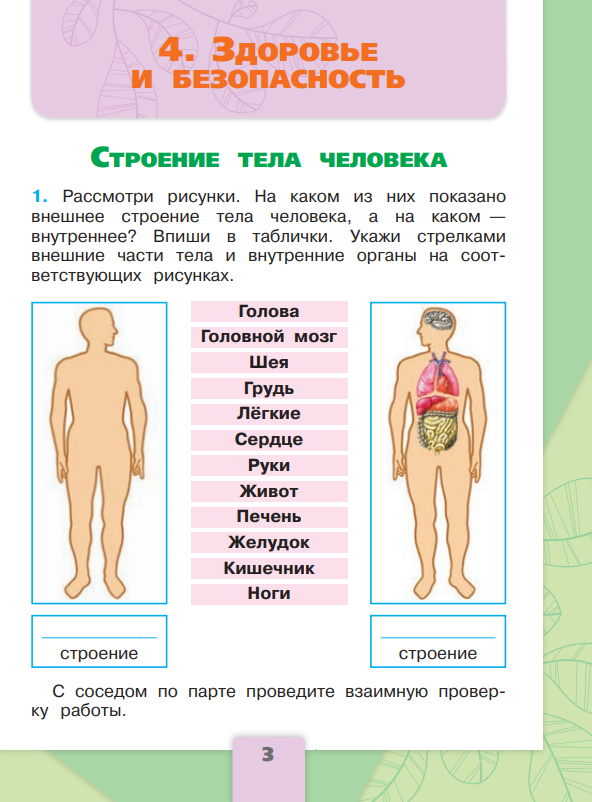 Пресентация по окружающему миру " Строение тела человека " ( 2 класс, окружающий