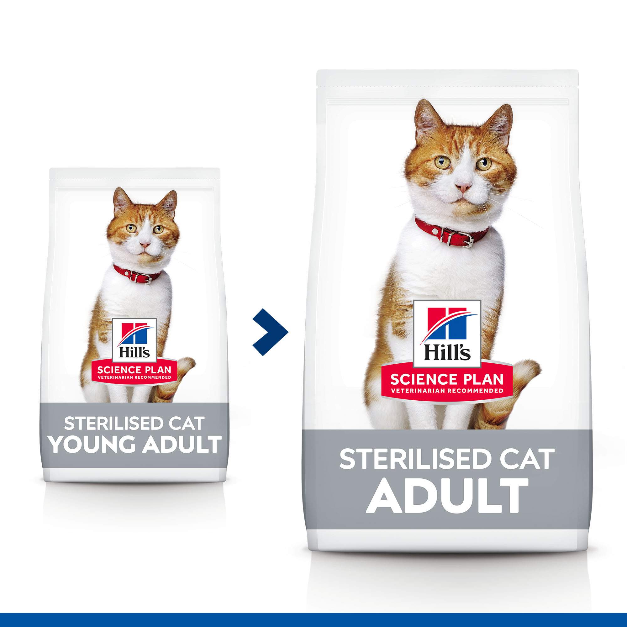 Hills sterilized hot sale cat food