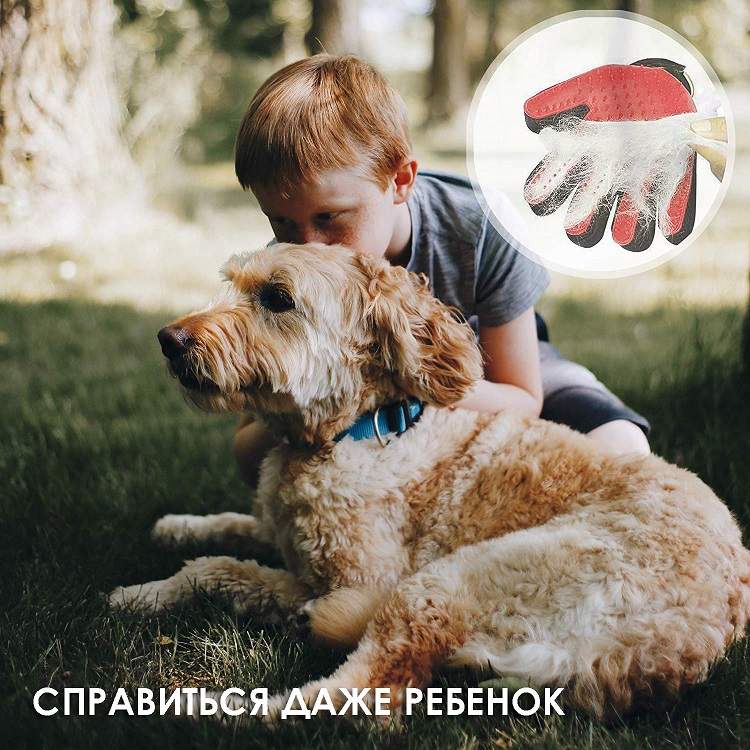 Мальчик играет с собакой. Старт Pets. Собака мир детства. Friends for pets