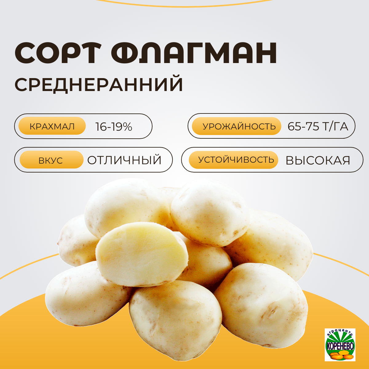 Картофель флагман описание сорта