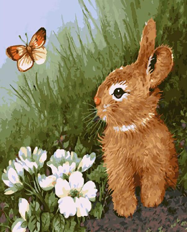 картина по номерам заяц. даурский заповедник фауна. зайчик рп. картина зайцы в зимнем лесу. зайчик с бабочкой.